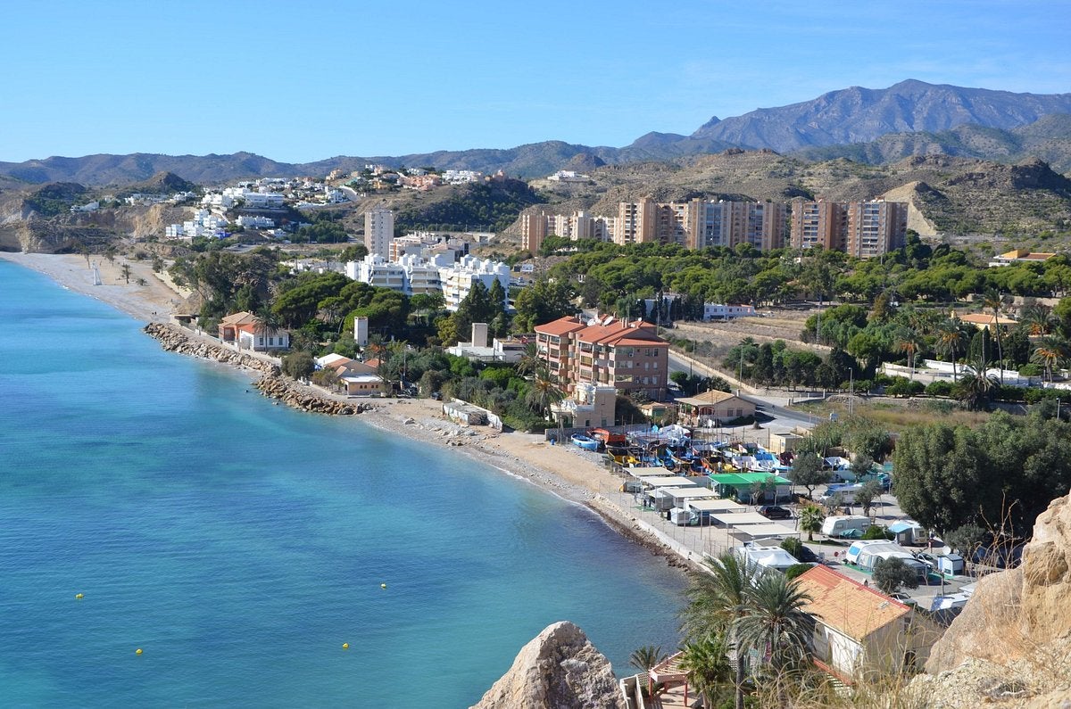 El grupo Ecologista Xoriguer pide salvar 25 ficus del Paraíso y el ayuntamiento prioriza la seguridad vial El grupo Ecologista Xoriguer pide salvar 25 ficus del Paraíso y el ayuntamiento prioriza la seguridad vial
