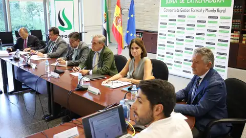 La Junta difunde un decálogo con recomendaciones para la población durante la extinción de incendios forestales La Junta difunde un decálogo con recomendaciones para la población durante la extinción de incendios forestales