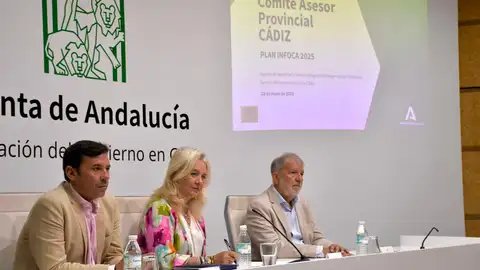 El comité del INFOCA, reunido en Cádiz El comité del INFOCA, reunido en Cádiz