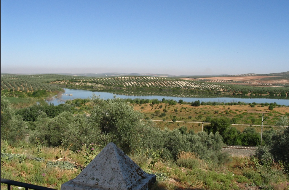 Las lagunas del Sur de Córdoba renuevan su reconocimiento internacional como joyas naturales de Andalucía Las lagunas del Sur de Córdoba renuevan su reconocimiento internacional como joyas naturales de Andalucía