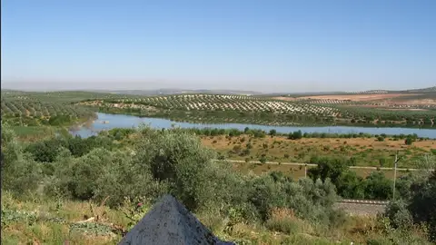 Las lagunas del Sur de Córdoba renuevan su reconocimiento internacional como joyas naturales de Andalucía Las lagunas del Sur de Córdoba renuevan su reconocimiento internacional como joyas naturales de Andalucía