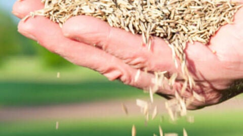 FITOSER ofrece asesoramiento agr&iacute;cola con una amplia gama de soluciones en fitosanitarios y fertilizantes