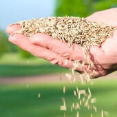 FITOSER ofrece asesoramiento agrícola con una amplia gama de soluciones en fitosanitarios y fertilizantes