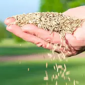 FITOSER ofrece asesoramiento agrícola con una amplia gama de soluciones en fitosanitarios y fertilizantes FITOSER ofrece asesoramiento agrícola con una amplia gama de soluciones en fitosanitarios y fertilizantes