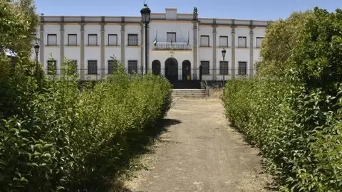 CEIP Juventud CEIP Juventud