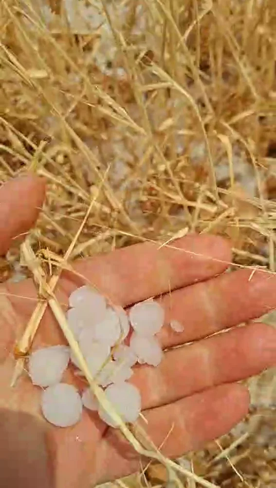 Granizo en la zona de Herrera de La Mancha. Granizo en la zona de Herrera de La Mancha.