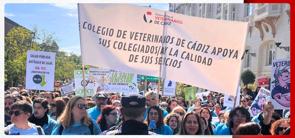 Los veterinarios de Cádiz vuelven a salir a la calle este domingo contra la nueva normativa de medicamentos veterinarios Los veterinarios de Cádiz vuelven a salir a la calle este domingo contra la nueva normativa de medicamentos veterinarios