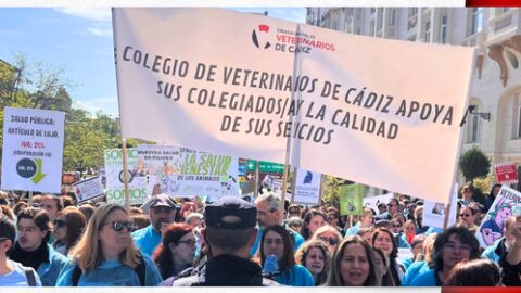 Foto de la manifestaci&oacute;n del 7 de mayo en contra del Real Decreto del gobierno
