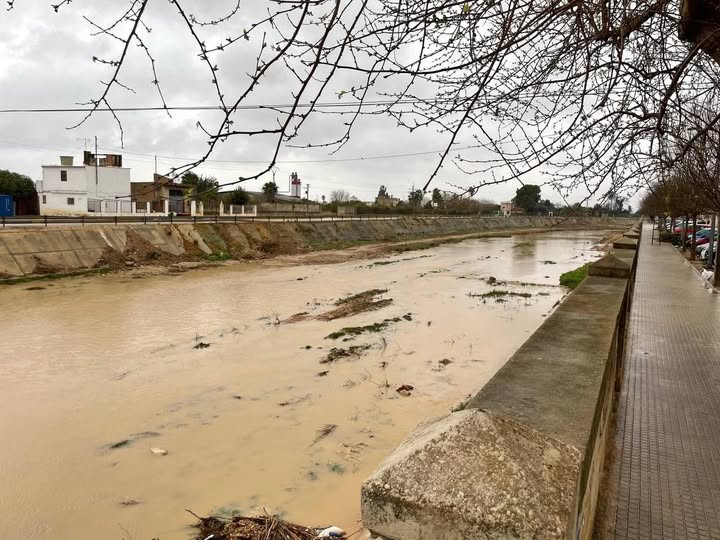 Algemesí proyecta elevar 2 metros el muro de defensa en el Magro Algemesí proyecta elevar 2 metros el muro de defensa en el Magro