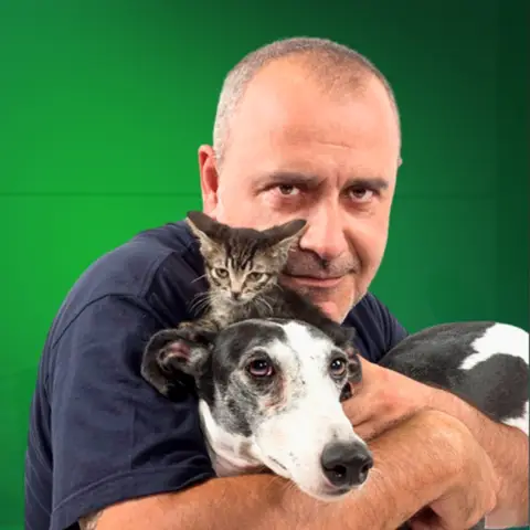 OCP - Como el perro y el gato HERO OCP - Como el perro y el gato HERO