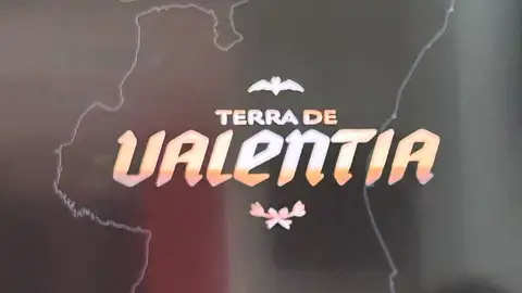 Así es la nueva campaña de abonos del Valencia CF: plazos, subida del IPC, descuentos y altas Así es la nueva campaña de abonos del Valencia CF: plazos, subida del IPC, descuentos y altas