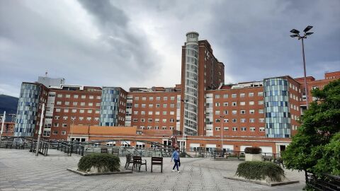 Hospital de Cruces en Barakaldo (Bizkaia)