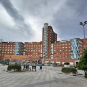 Hospital de Cruces en Barakaldo (Bizkaia)