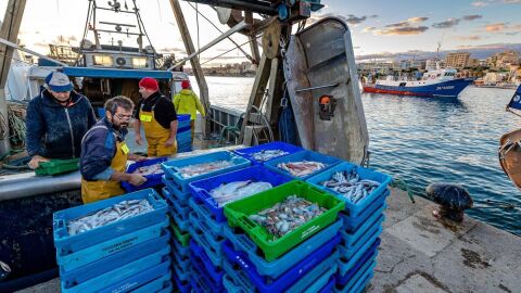 Cofrad&iacute;a de Pescadores de La Vila