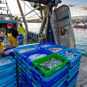 Cofradía de Pescadores de La Vila Cofradía de Pescadores de La Vila