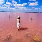 ¿Puede un diminuto molusco convertir toda una laguna en rosa como la de Torrevieja?
