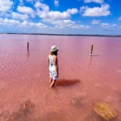 ¿Puede un diminuto molusco convertir toda una laguna en rosa como la de Torrevieja? ¿Puede un diminuto molusco convertir toda una laguna en rosa como la de Torrevieja?