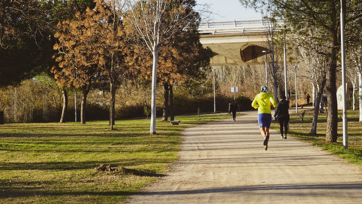 El ayuntamiento adjudica las mejoras de los jardines y caminos del Guadiana y Proserpina por casi 700.000 euros El ayuntamiento adjudica las mejoras de los jardines y caminos del Guadiana y Proserpina por casi 700.000 euros