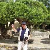 Repasamos las fiestas de junio que pueblan España y conocemos el mar de plástico de Almería Repasamos las fiestas de junio que pueblan España y conocemos el mar de plástico de Almería