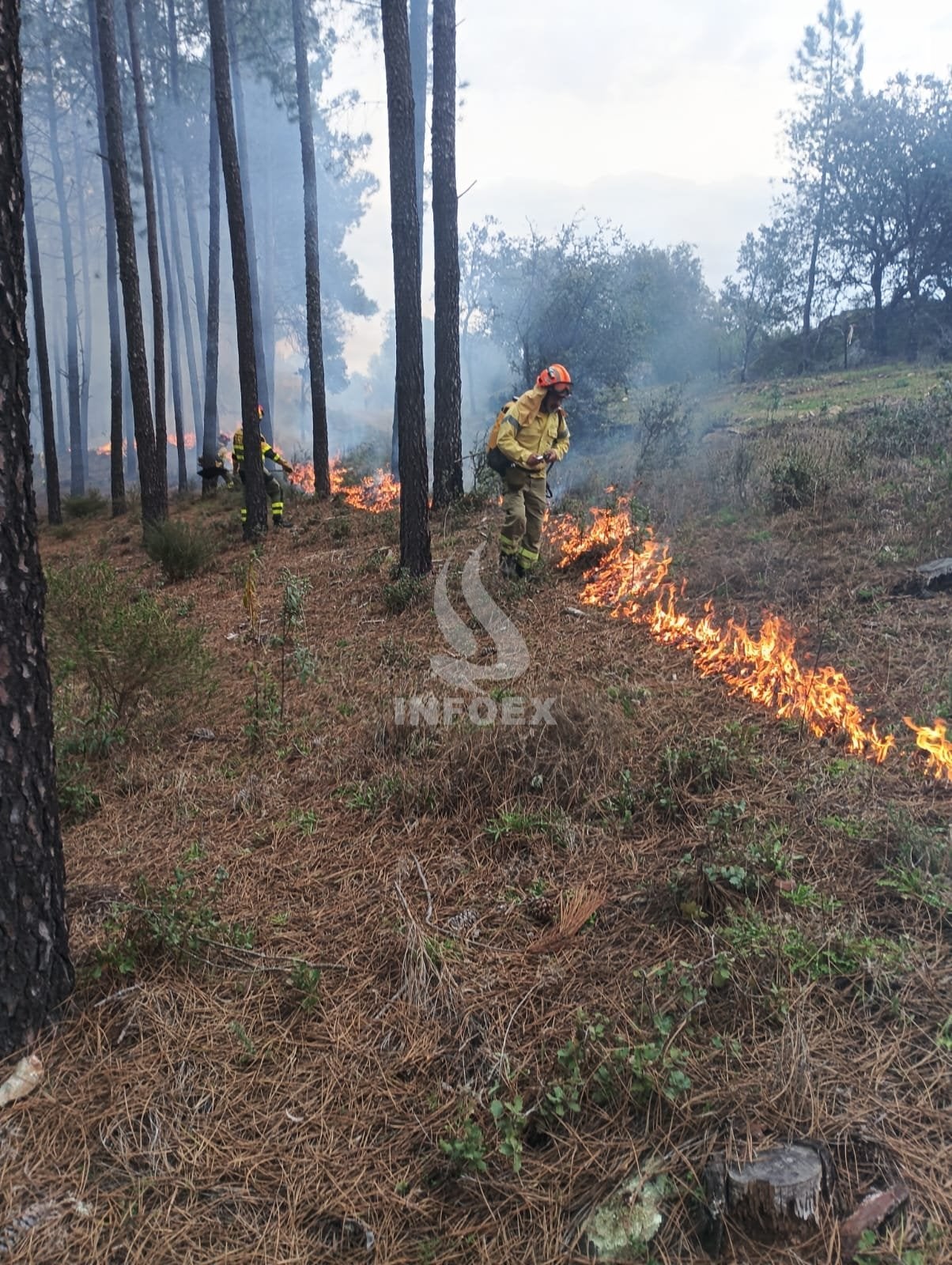 El Plan Infoex desactiva el nivel 1 del incendio forestal en el término municipal de La Roca de la Sierra El Plan Infoex desactiva el nivel 1 del incendio forestal en el término municipal de La Roca de la Sierra