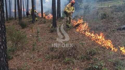 El Plan Infoex desactiva el nivel 1 del incendio forestal en el t&eacute;rmino municipal de La Roca de la Sierra