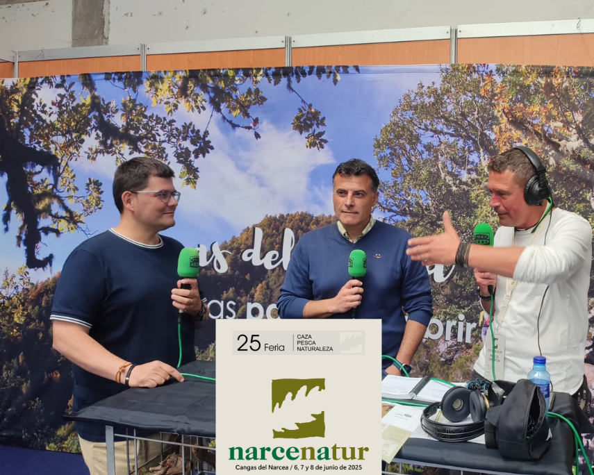 Vuelta a los orígenes Vuelta a los orígenes