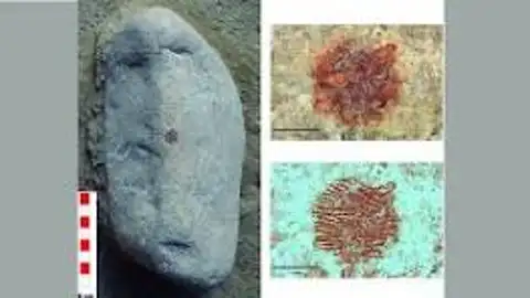 Huella Neandertal Huella Neandertal