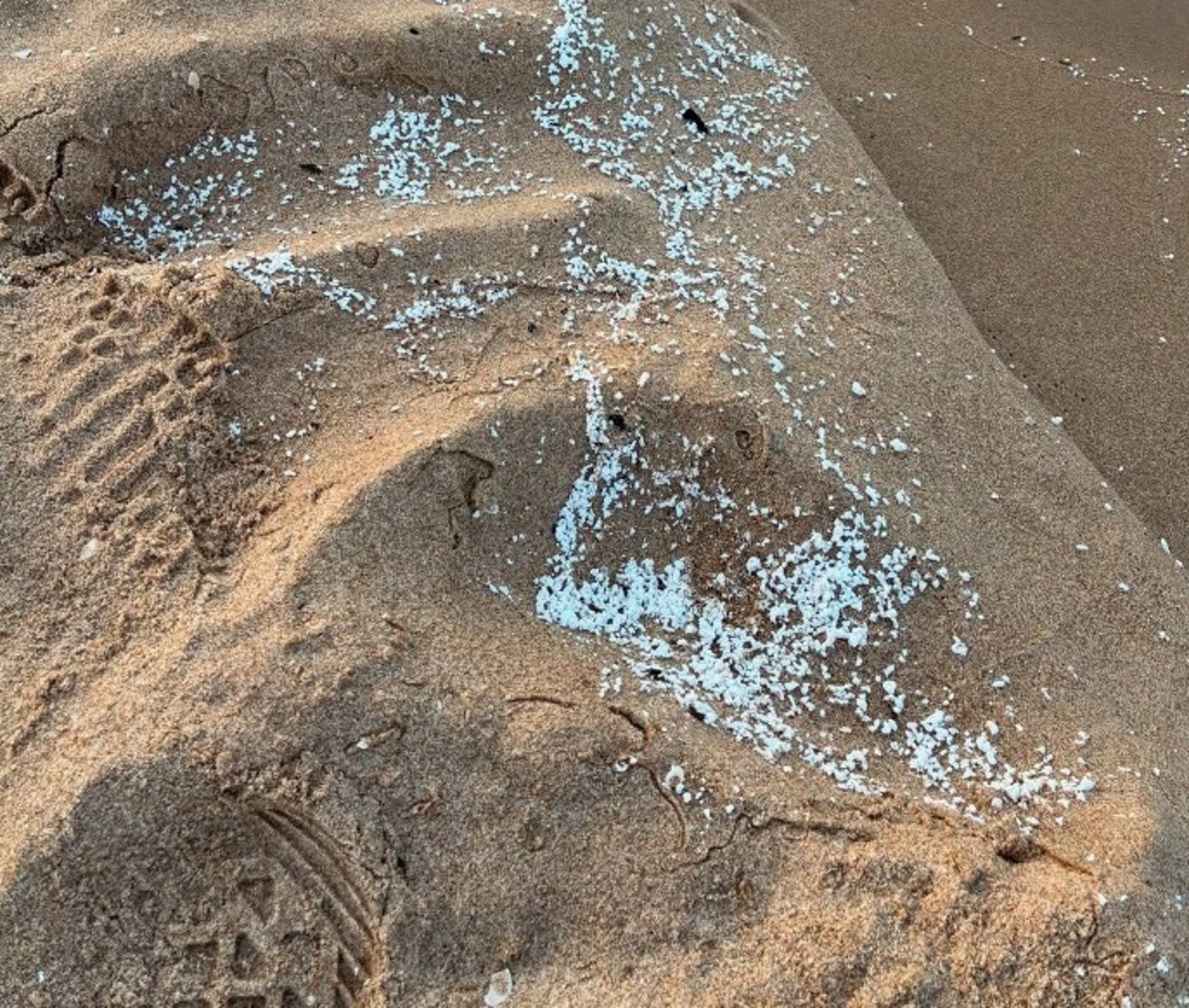 Cerradas preventivamente varias playas en La Safor tras detectarse un vertido de origen desconocido Cerradas preventivamente varias playas en La Safor tras detectarse un vertido de origen desconocido