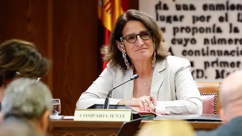 La vicepresidenta de la Comisión Europea y exvicepresidenta del Gobierno, Teresa Ribera. La vicepresidenta de la Comisión Europea y exvicepresidenta del Gobierno, Teresa Ribera.
