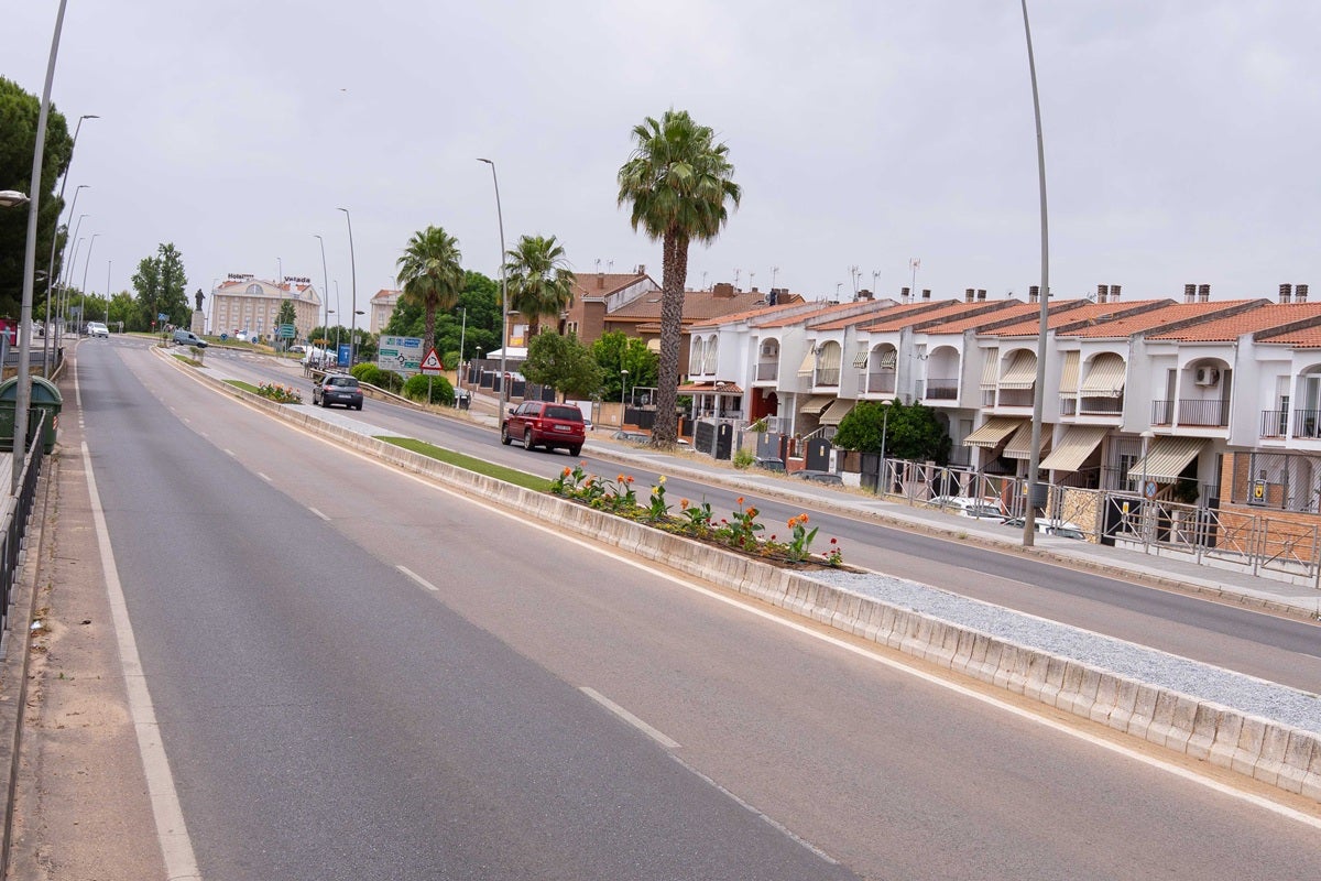 El Ayuntamiento finaliza las mejoras en la mediana de la avenida Reina Sofía El Ayuntamiento finaliza las mejoras en la mediana de la avenida Reina Sofía
