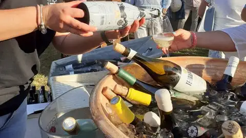 Temps de Vi Temps de Vi