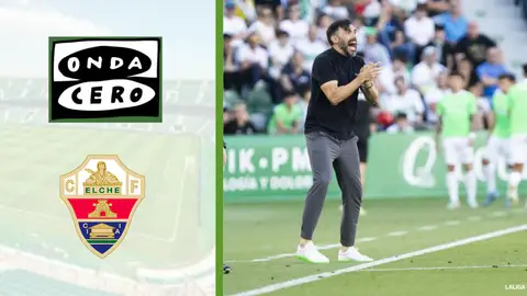 Sarabia tertulia. Sarabia tertulia.