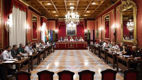 Sal&oacute;n Pleno Granada