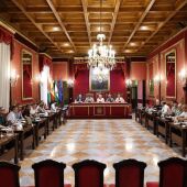 Salón Pleno Granada