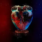 Row Gent Blaugrana Row Gent Blaugrana