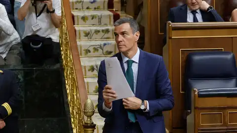 Pedro Sánchez en el Congreso de los Diputados Pedro Sánchez en el Congreso de los Diputados