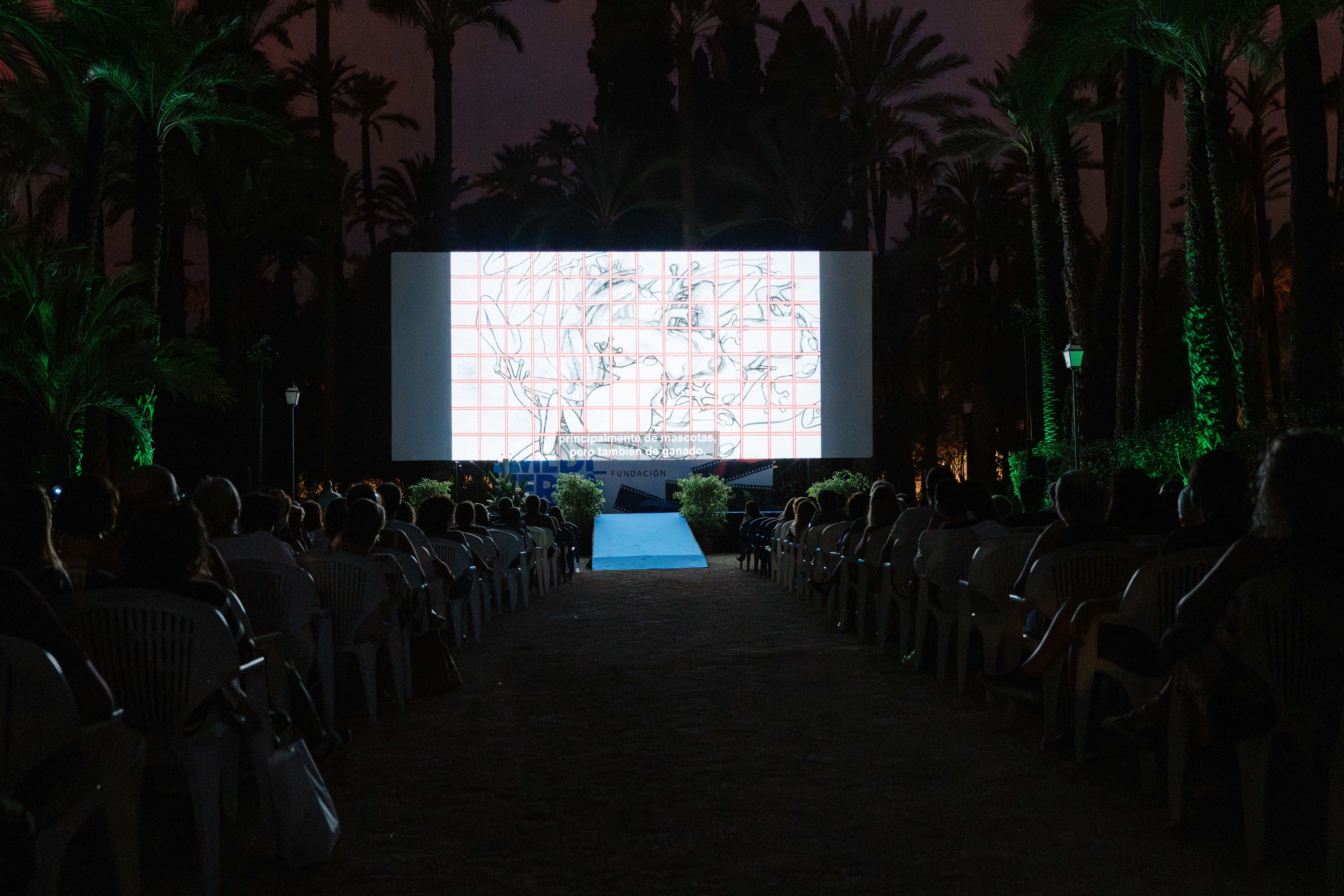 El Festival de Cine de Elche proyectará 63 cortometrajes en su sección oficial de 2025 El Festival de Cine de Elche proyectará 63 cortometrajes en su sección oficial de 2025