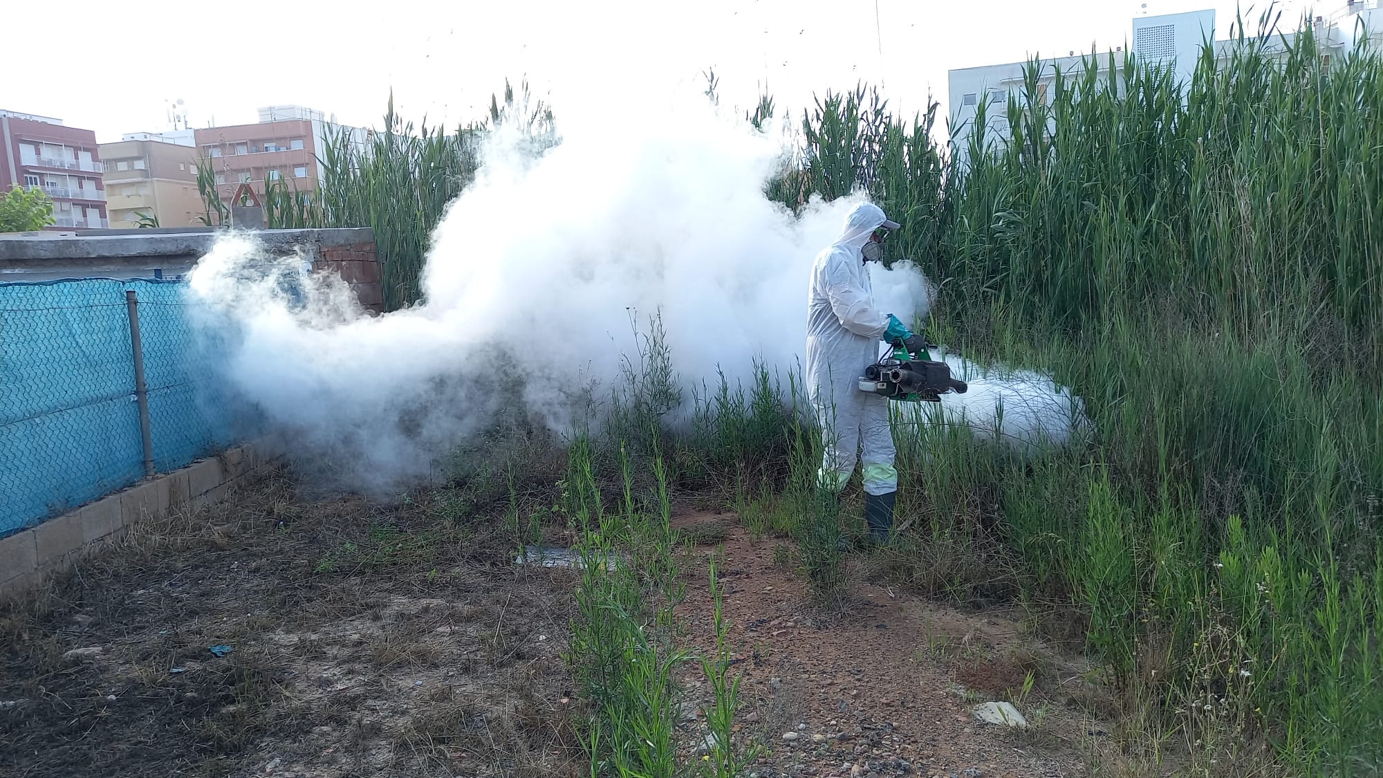 Nules intensifica las actuaciones para la prevención de focos de mosquitos Nules intensifica las actuaciones para la prevención de focos de mosquitos