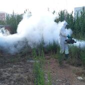 Nules intensifica las actuaciones para la prevención de focos de mosquitos