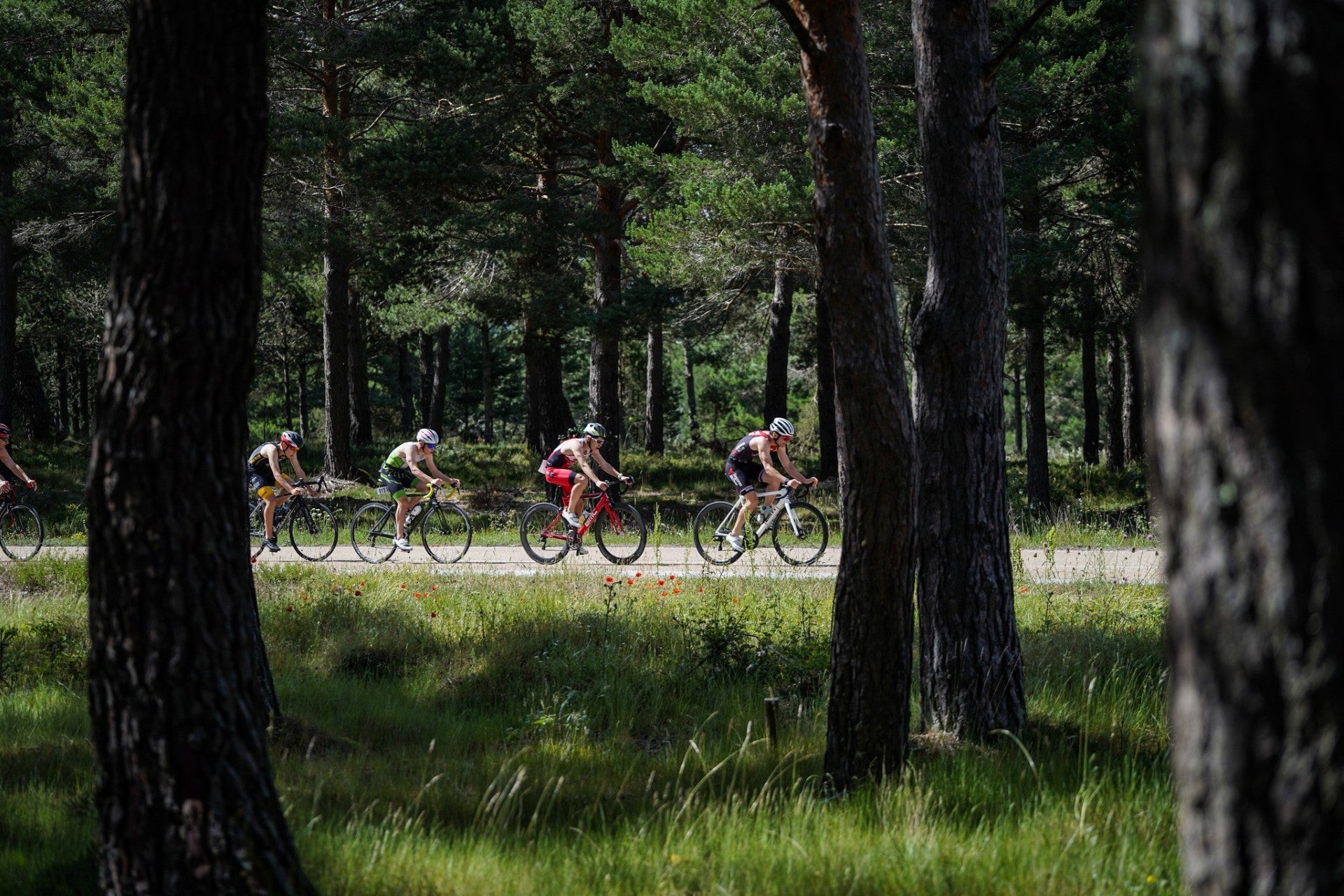 Este domingo vuelve el circuito provincial "Diputación de Palencia" de BTT con la prueba "Pisoraka" en Herrera de Pisuerga Este domingo vuelve el circuito provincial "Diputación de Palencia" de BTT con la prueba "Pisoraka" en Herrera de Pisuerga