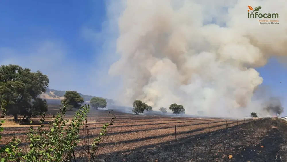 Incendio en terreno agrícola, junto a la carretera CM-3129 entre Torre de Juan Abad y Cózar Incendio en terreno agrícola, junto a la carretera CM-3129 entre Torre de Juan Abad y Cózar