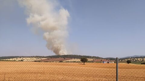 Incendio en terreno agr&iacute;cola, junto a la carretera CM-3129 entre Torre de Juan Abad y C&oacute;zar