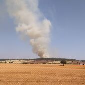 Incendio en terreno agrícola, junto a la carretera CM-3129 entre Torre de Juan Abad y Cózar