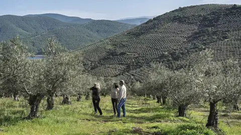 Castañar de Ibor y Torre de Santa María exploran el oleoturismo como experiencia de desarrollo rural Castañar de Ibor y Torre de Santa María exploran el oleoturismo como experiencia de desarrollo rural
