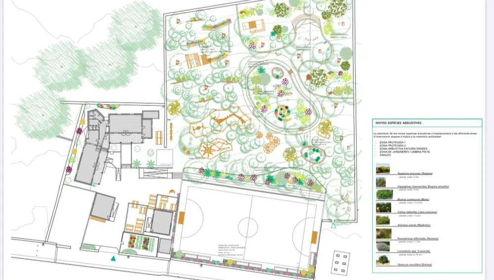 Refugio climático pionero que ha diseñado el Consell de Formentera en el patio del colegio del Pilar de la Mola y en el parque urbano Refugio climático pionero que ha diseñado el Consell de Formentera en el patio del colegio del Pilar de la Mola y en el parque urbano