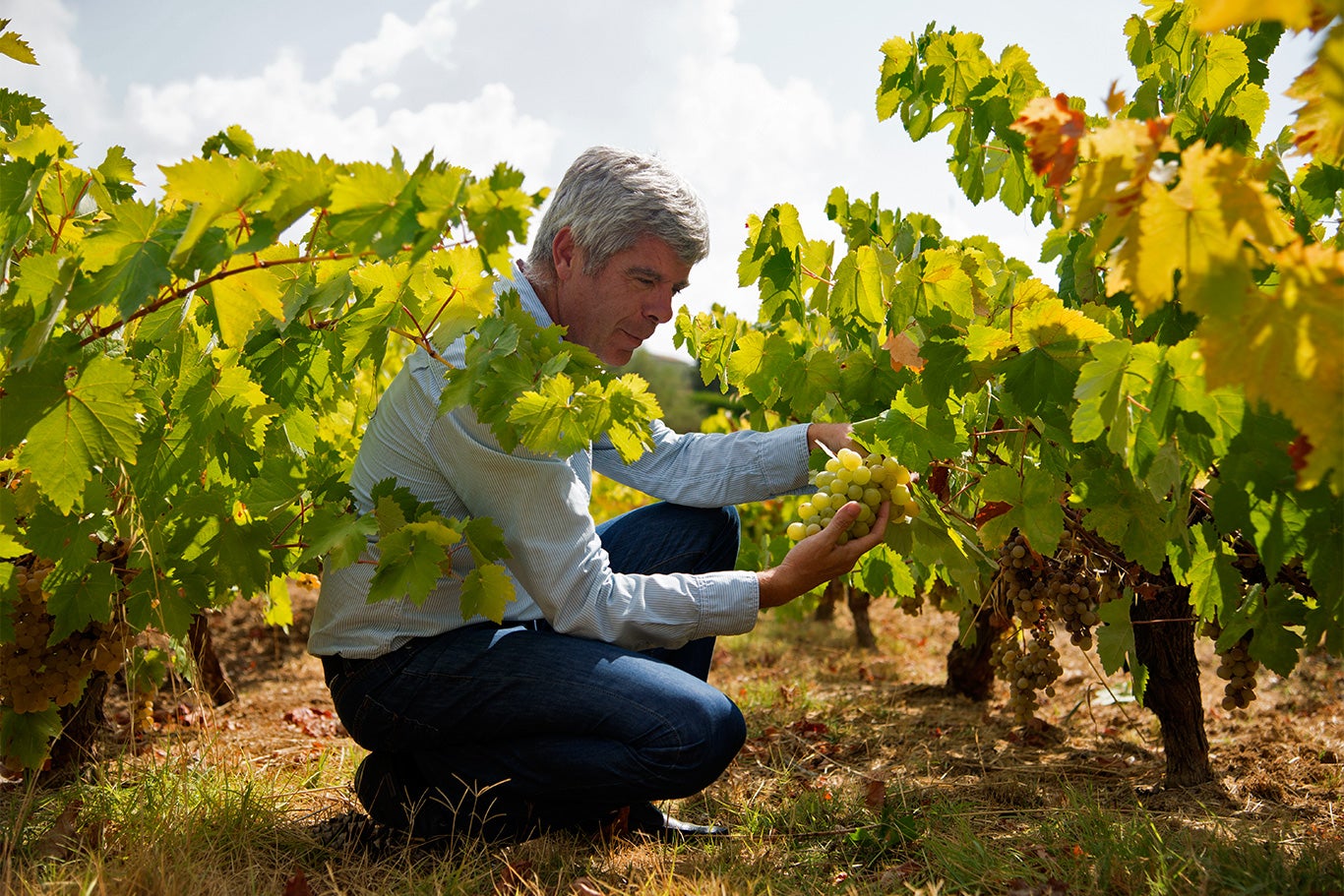 Ecológica Kok reconoce a Bodegas Robles por su compromiso con la sostenibilidad en la gastronomía Ecológica Kok reconoce a Bodegas Robles por su compromiso con la sostenibilidad en la gastronomía