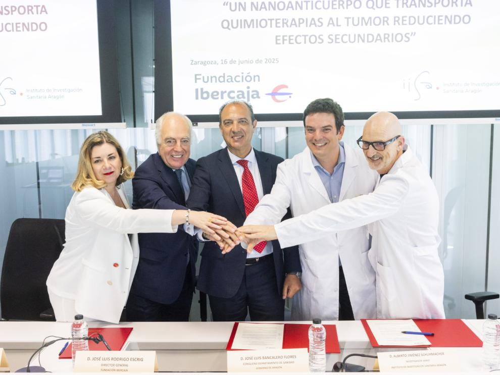 Una investigación aragonesa podría reducir los efectos secundarios de la quimioterapia Una investigación aragonesa podría reducir los efectos secundarios de la quimioterapia