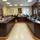 Pleno Villajoyosa