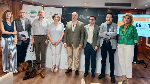 Más de 5.000 empresas marcaron en 2024 la Casilla Empresa Solidaria en Extremadura, que cuadriplicó la recaudación Más de 5.000 empresas marcaron en 2024 la Casilla Empresa Solidaria en Extremadura, que cuadriplicó la recaudación