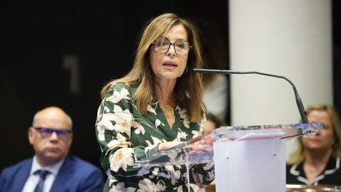 Mar&iacute;a Dolores Padr&oacute;n Rodr&iacute;guez, Diputada del Com&uacute;n de Canarias